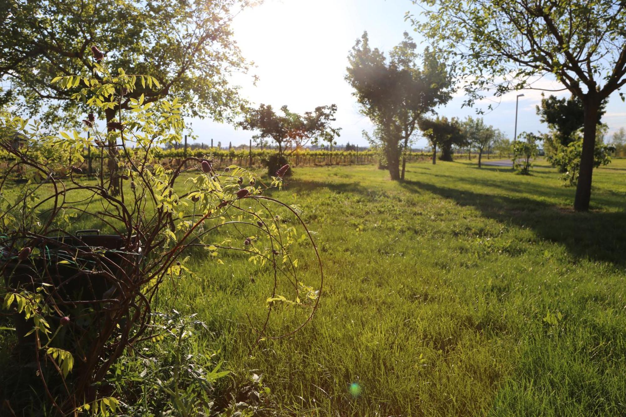 Valle Di Assisi Country Apartments Exterior photo