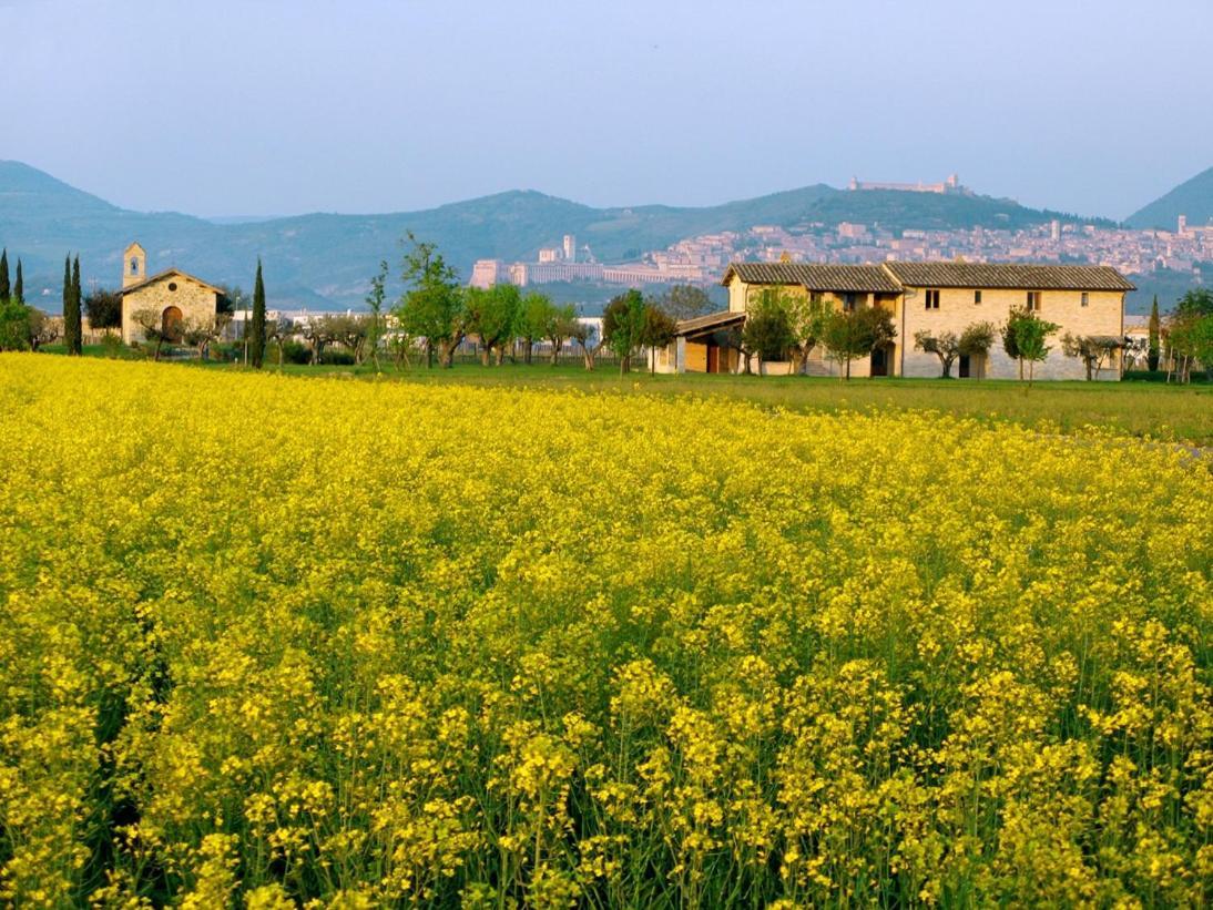 Valle Di Assisi Country Apartments Exterior photo