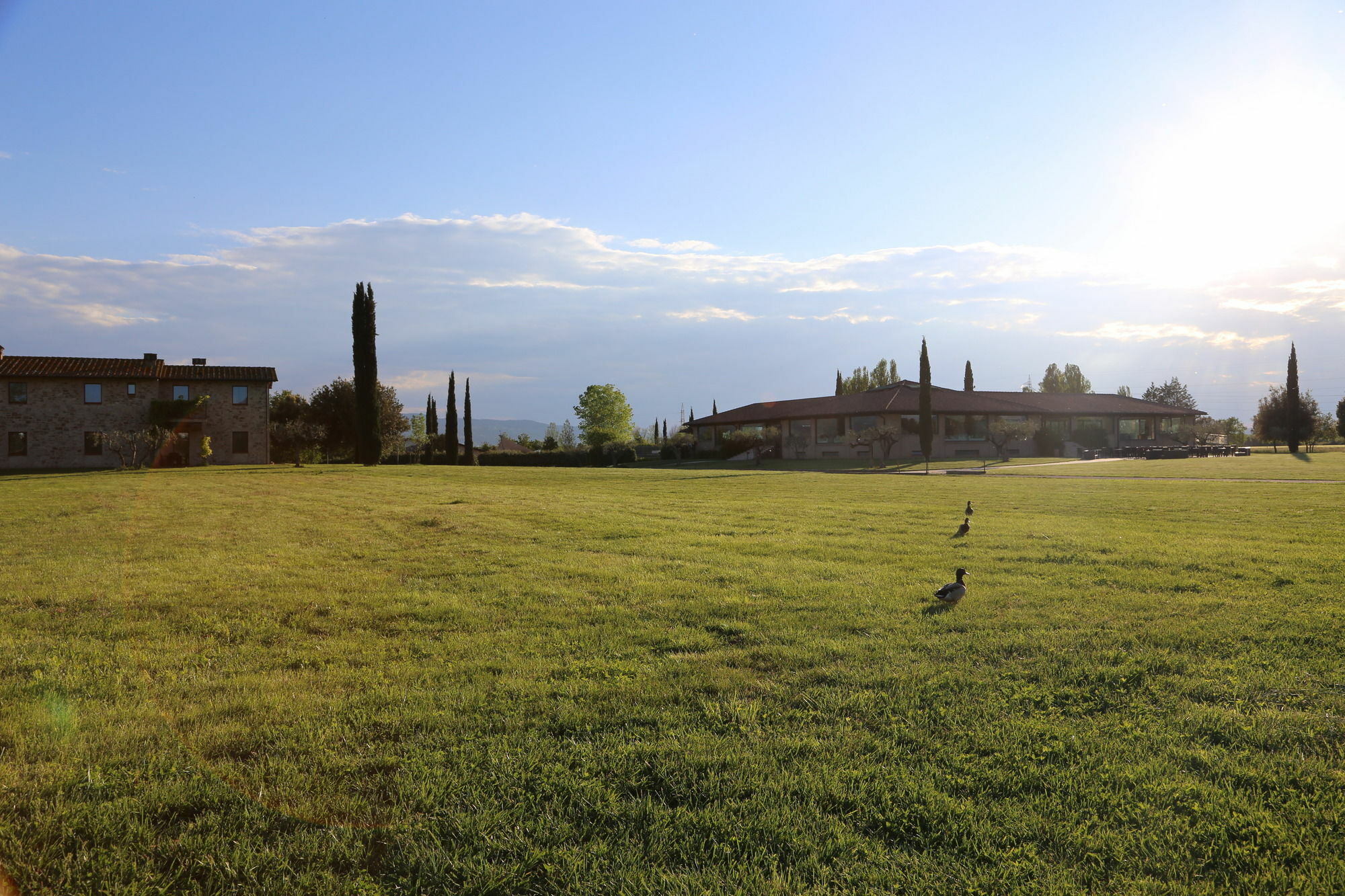 Valle Di Assisi Country Apartments Exterior photo