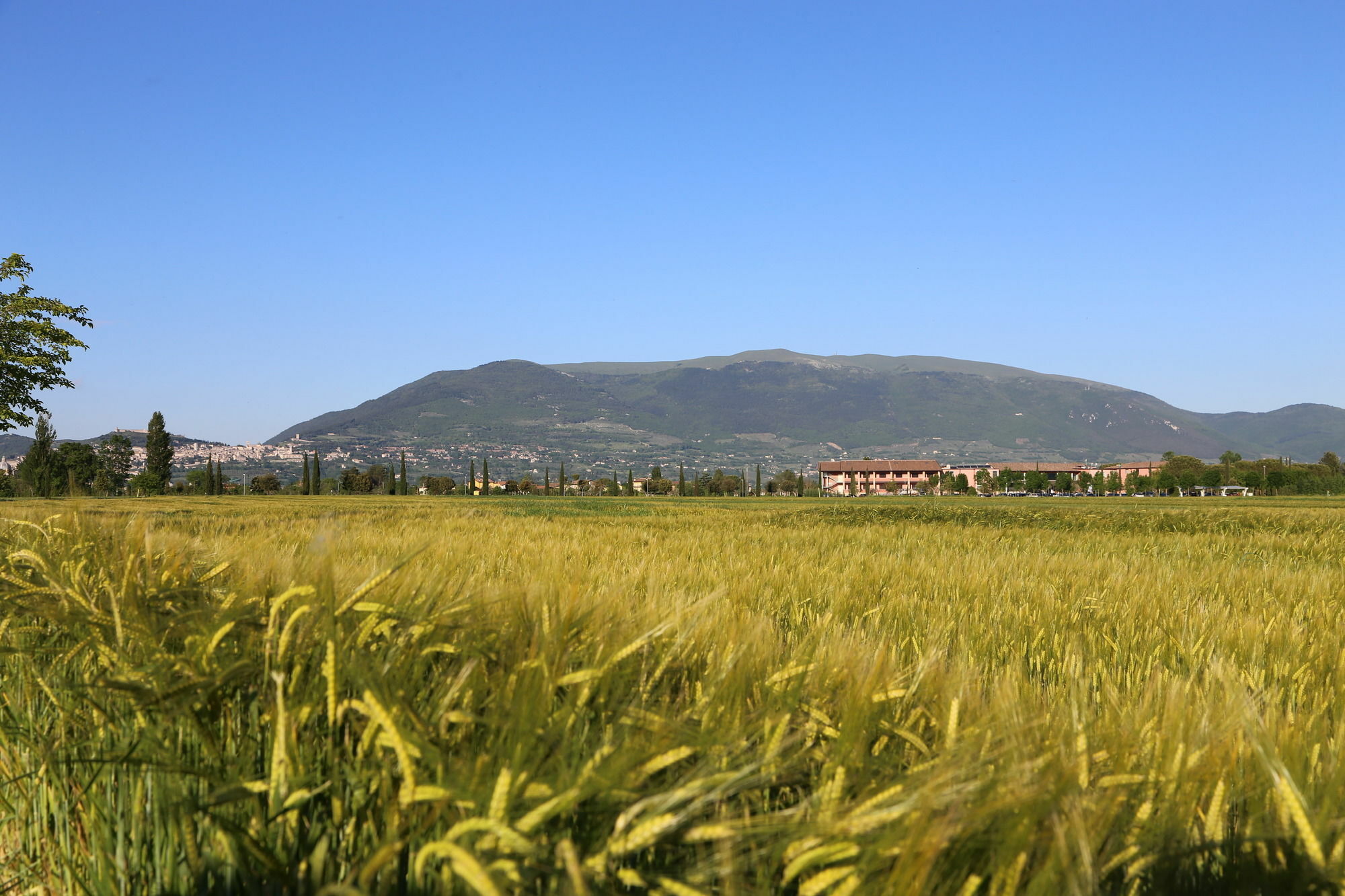 Valle Di Assisi Country Apartments Exterior photo