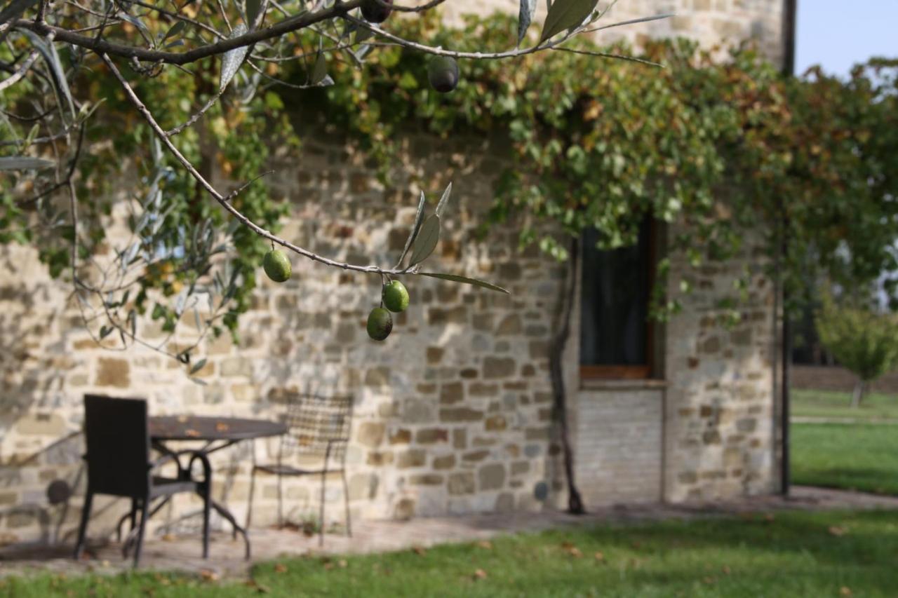 Valle Di Assisi Country Apartments Exterior photo